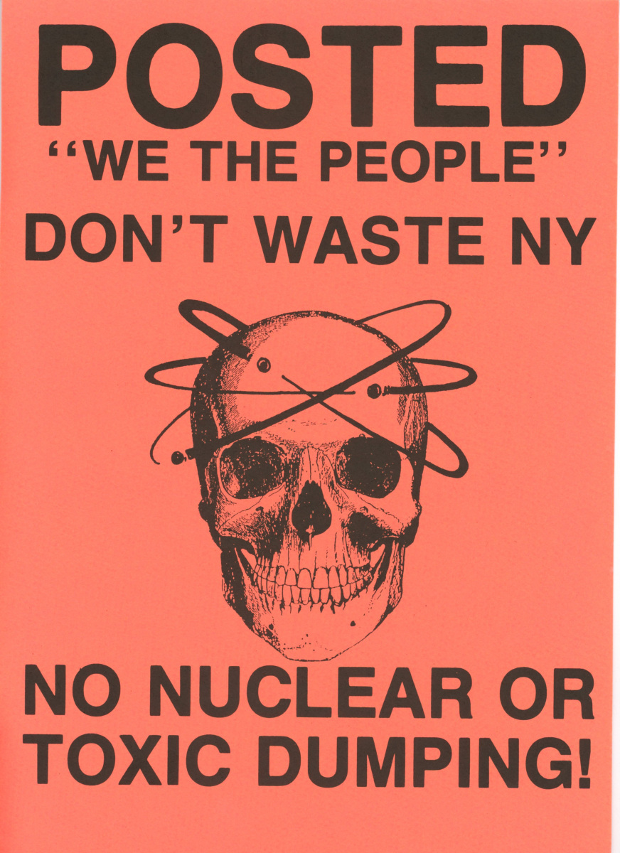 Orange "Don't Waste NY" poster with the image of a skull